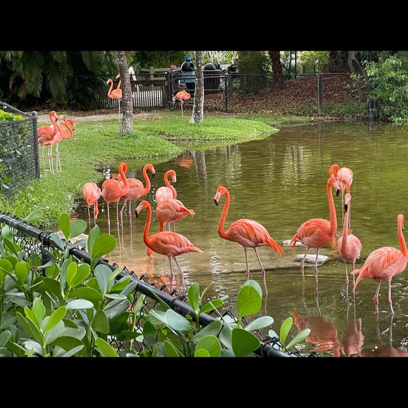 HI GUYS IM POTIT I USED POSH SIDEKICK TO SHARE MY CLOSET USED MY  REFERRAL CODE - Picture 2 of 16